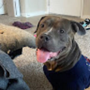 Meet your Posher, Luca